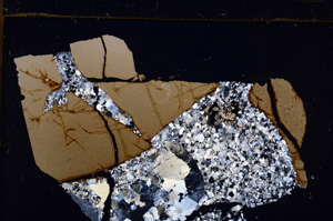 Cross Polarized, E29654