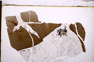 Plane Polarized, E29654