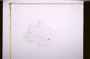 Plane Polarized, E29776
