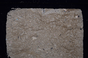 Cross Polarized, E29795