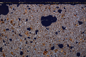 Cross Polarized, E29799