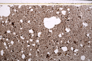 Plane Polarized, E29799