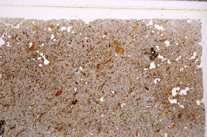 Plane Polarized, E29802