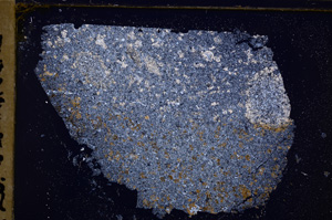 Cross Polarized, E29812