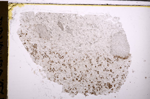 Plane Polarized, E29812