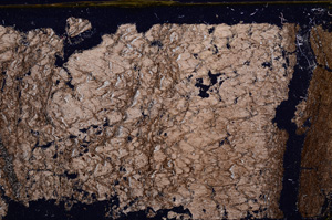 Cross Polarized, E29821