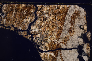 Cross Polarized, E29822