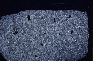 Cross Polarized, E29841