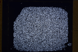 Cross Polarized, E29884