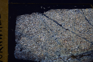 Cross Polarized, E29976