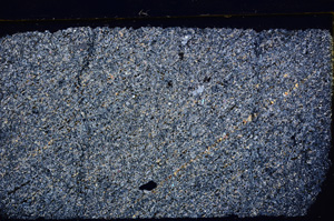 Cross Polarized, E29978