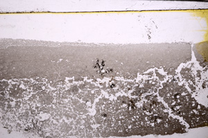 Plane Polarized, E29985