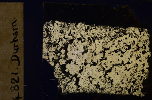 Cross Polarized, E29986