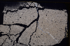 Cross Polarized, E29987