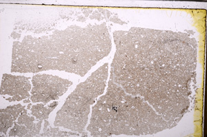 Plane Polarized, E29987