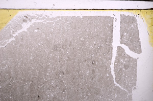 Plane Polarized, E29988