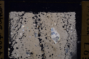 Cross Polarized, E29989