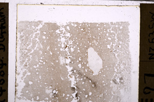 Plane Polarized, E29989