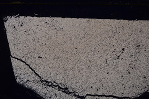 Cross Polarized, E29990