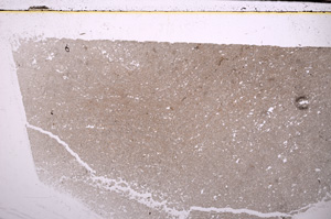 Plane Polarized, E29990