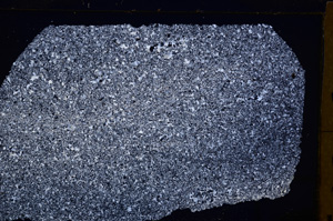 Cross Polarized, E29994