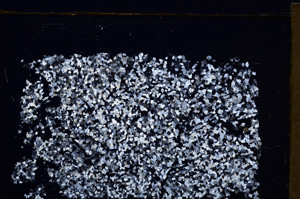 Cross Polarized, E30004