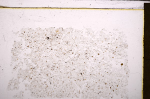 Plane Polarized, E30004