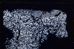 Cross Polarized, E30005