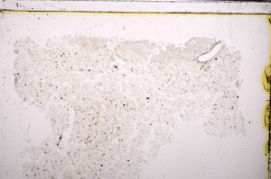 Plane Polarized, E30005