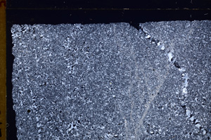 Cross Polarized, E30006