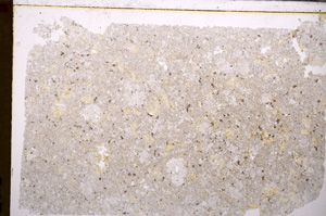 Plane Polarized, E30014