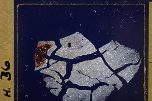 Cross Polarized, E30039