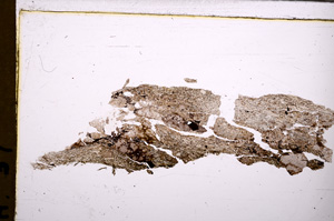 Plane Polarized, E30040