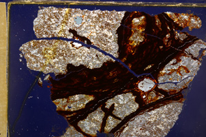 Cross Polarized, E30041