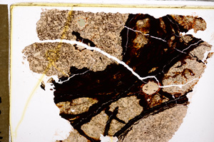 Plane Polarized, E30041