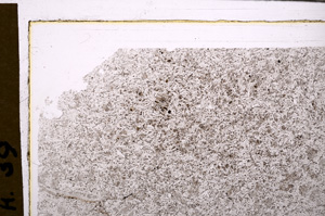 Plane Polarized, E30042