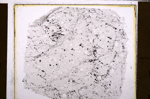 Plane Polarized, E30046