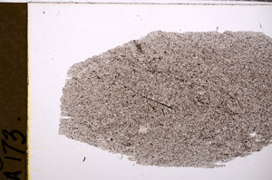 Plane Polarized, E30053