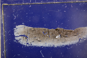 Cross Polarized, E30054