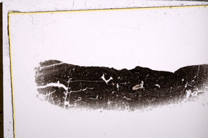 Plane Polarized, E30054