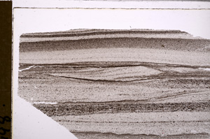 Plane Polarized, E30076