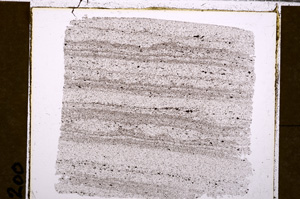 Plane Polarized, E30078