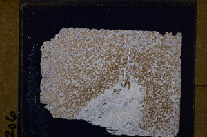 Cross Polarized, E30084