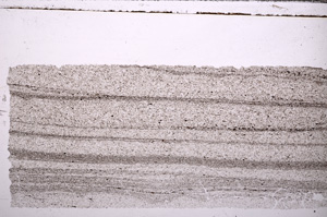 Plane Polarized, E30092