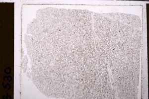 Plane Polarized, E30096