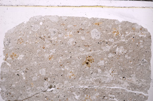 Plane Polarized, E30154