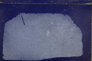 Cross Polarized, E30193