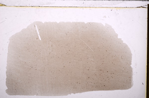 Plane Polarized, E30193