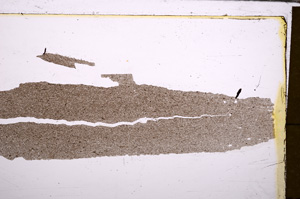 Plane Polarized, E30196