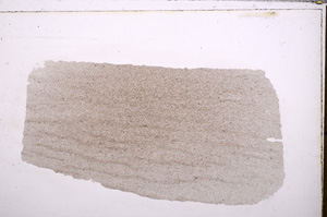 Plane Polarized, E30197